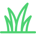 Precisão na identificação<br />
e classificação de daninhas